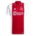 Camiseta Ajax Brian Brobbey #9 Primera Equipación Replica 2024-25 mangas cortas